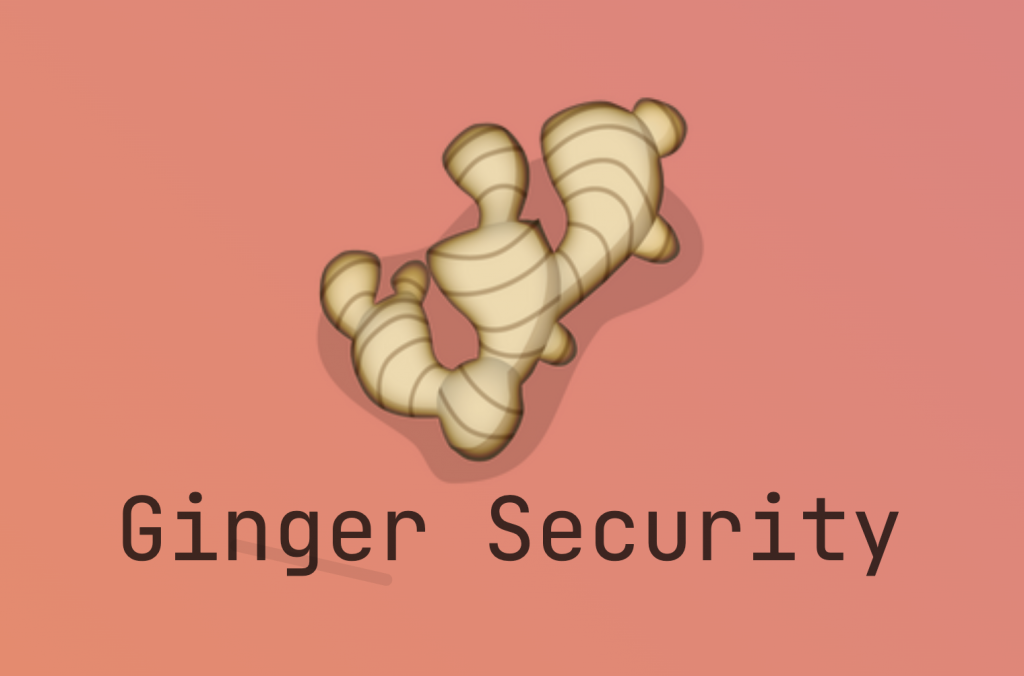 Ginger Security