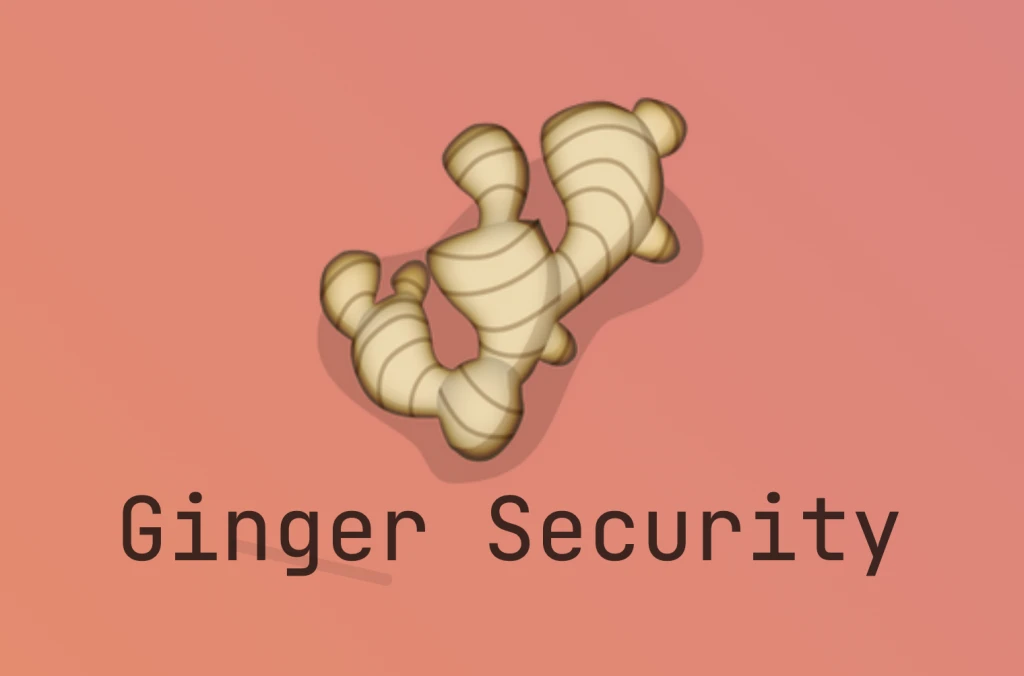 Ginger Security